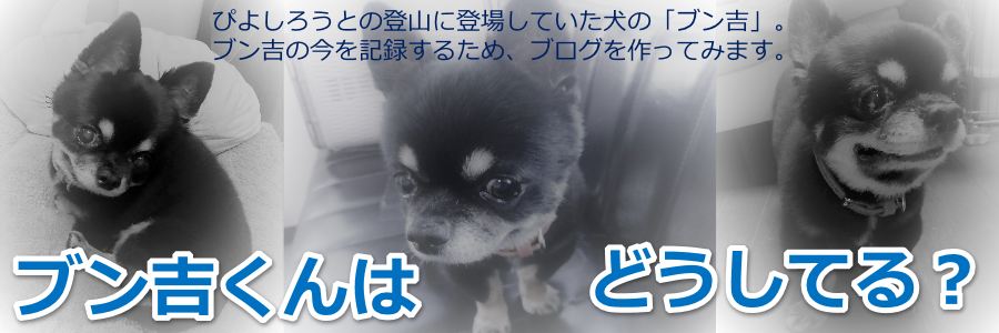 �u���g����͂ǂ����Ă�